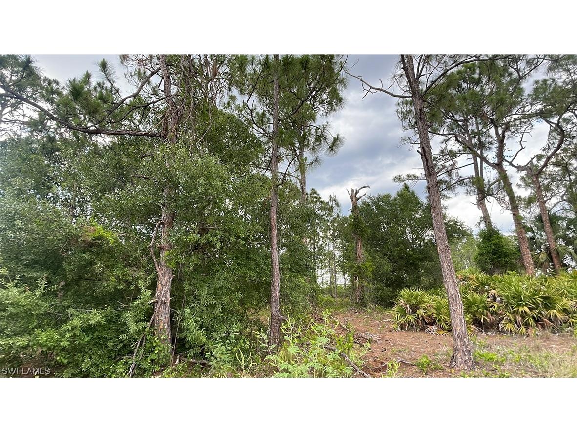 520 Lillon Avenue S Lehigh Acres FL 33974 223035786 image1