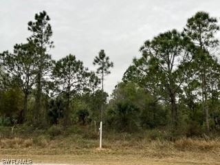 520 S Kennel Street Clewiston FL 33440 223058679 image1