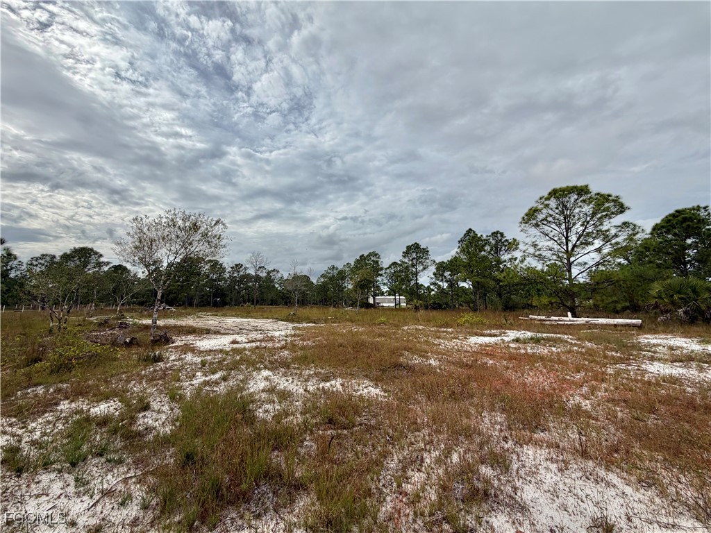 520 S Sendero Street Clewiston FL 33440 2025022386 image6