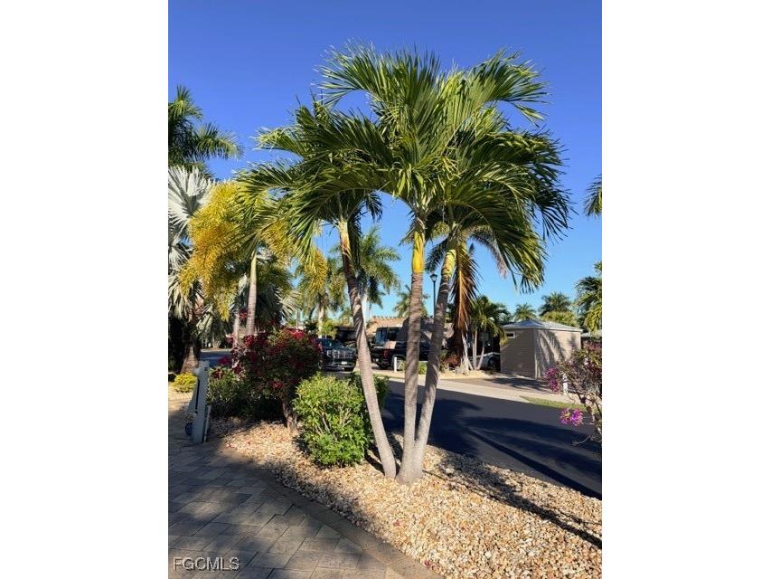 5200 Marsh Mallow Trail Fort Myers FL 33905 2026002337 image13