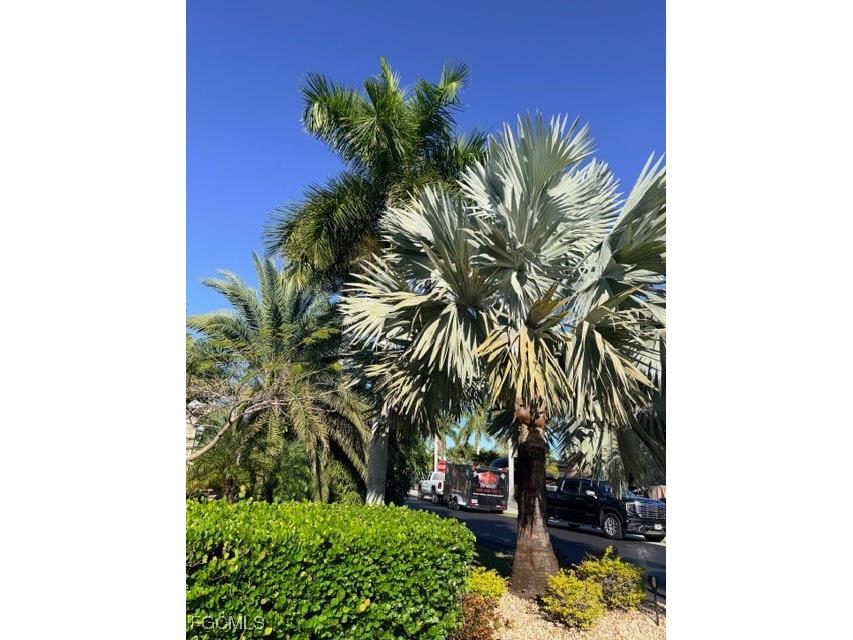 5200 Marsh Mallow Trail Fort Myers FL 33905 2026002337 image14