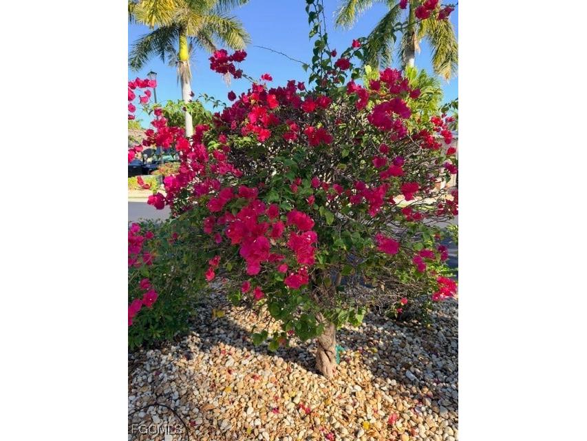 5200 Marsh Mallow Trail Fort Myers FL 33905 2026002337 image17