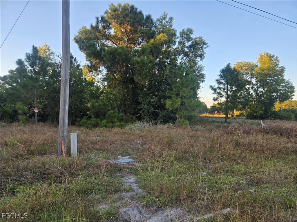 521 Denbigshire Street Lehigh Acres FL 33974 2025020577 image2