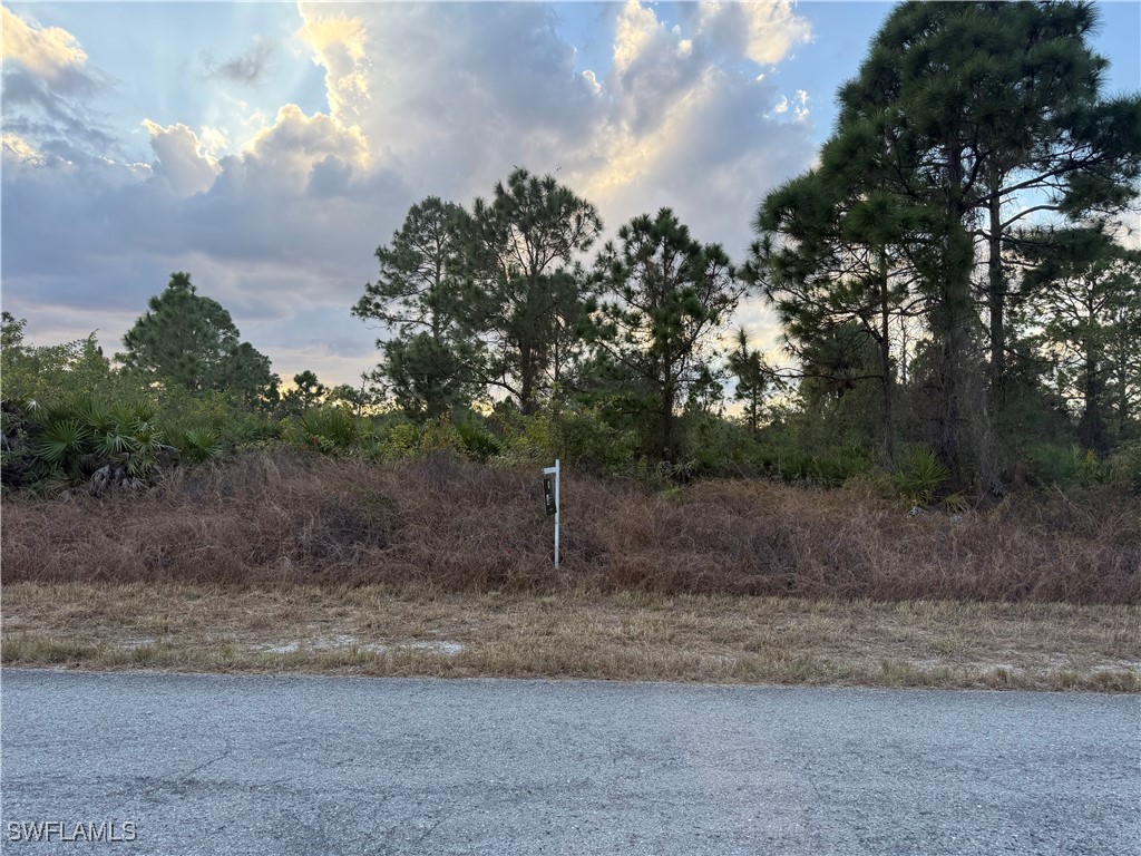 521 Fitch Avenue Lehigh Acres FL 33972 226003740 image1