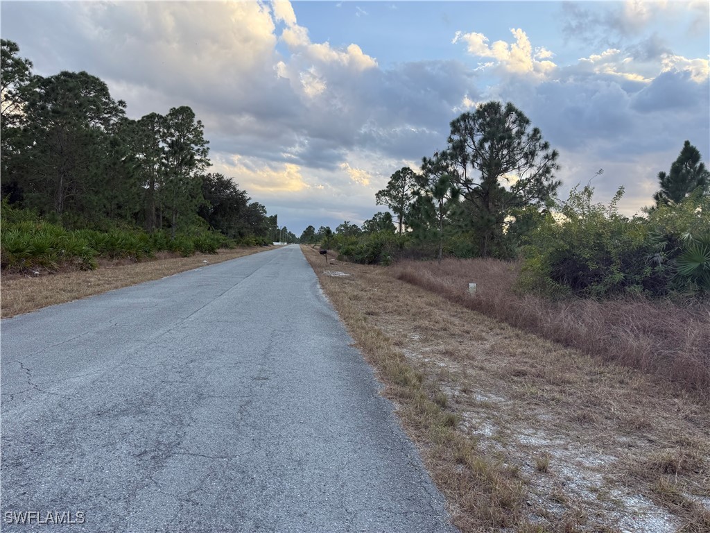 521 Fitch Avenue Lehigh Acres FL 33972 226003740 image3