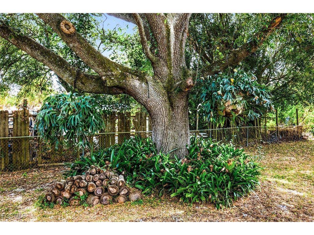 521 Monterey Street North Fort Myers FL 33903 2025023296 image25