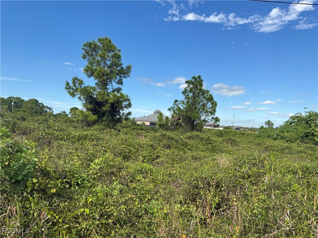 521 Trinity Street E Lehigh Acres FL 33974 2025018929 image2