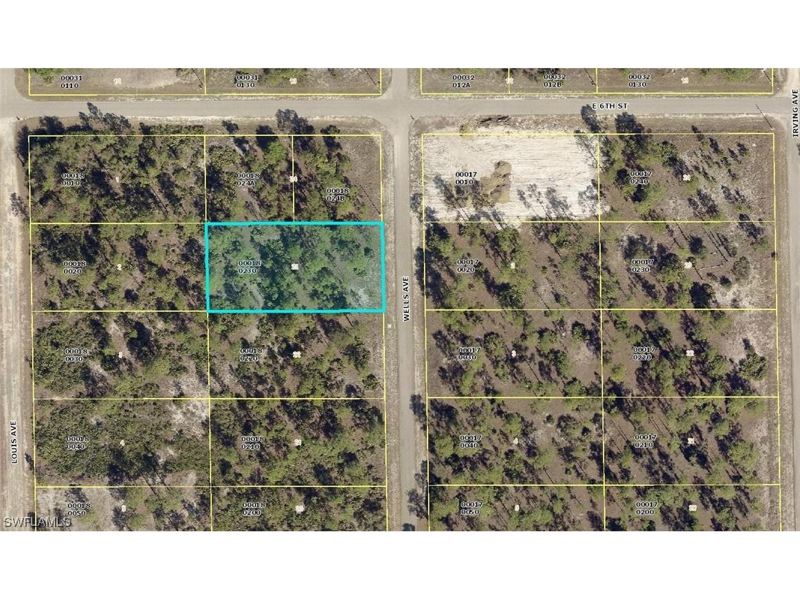 521 Wells Avenue Lehigh Acres FL 33972 223016556 image1