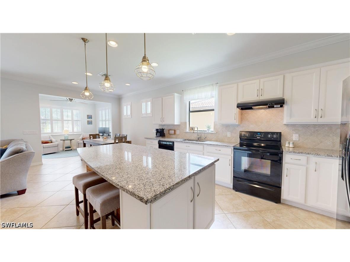 5214 Ciatto Way Ave Maria FL 34142 226014835 image8