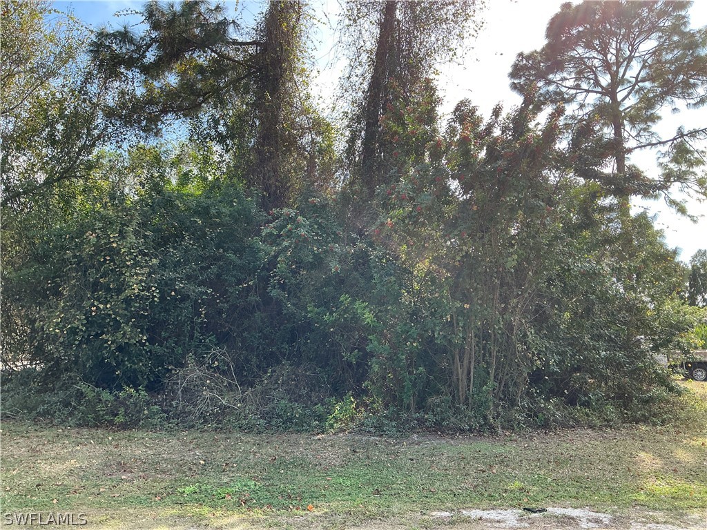 5217 Lee Street Lehigh Acres FL 33971 226011167 image1
