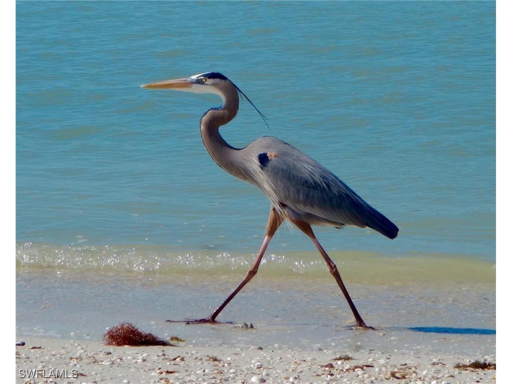 5220 Bonita Beach Road SW #302 Bonita Springs FL 34134 225065309 image8