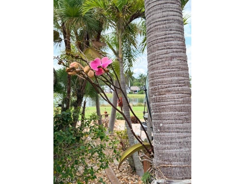 5222 Pineland Daisy Trail Fort Myers FL 33905 2026012780 image35