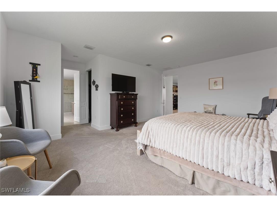 5238 Karlia Drive Ave Maria FL 34142 225070088 image48