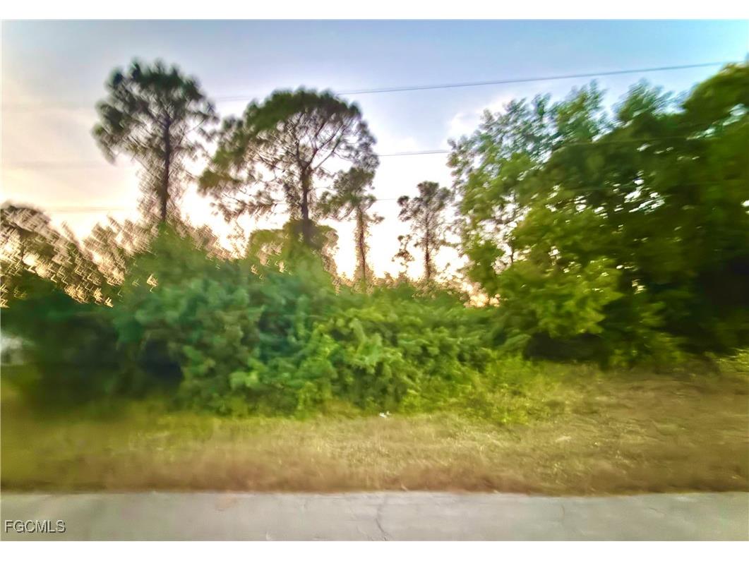 524 Harry Thayer Avenue S Lehigh Acres FL 33974 2025023291 image1