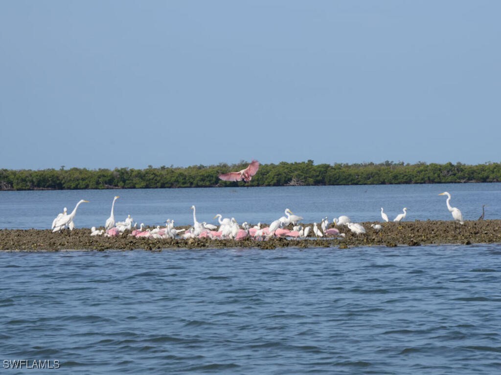 525 Newport Drive Naples FL 34114 225044587 image20