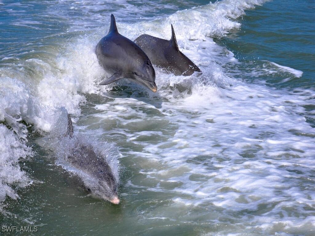 525 Newport Drive Naples FL 34114 225044587 image21