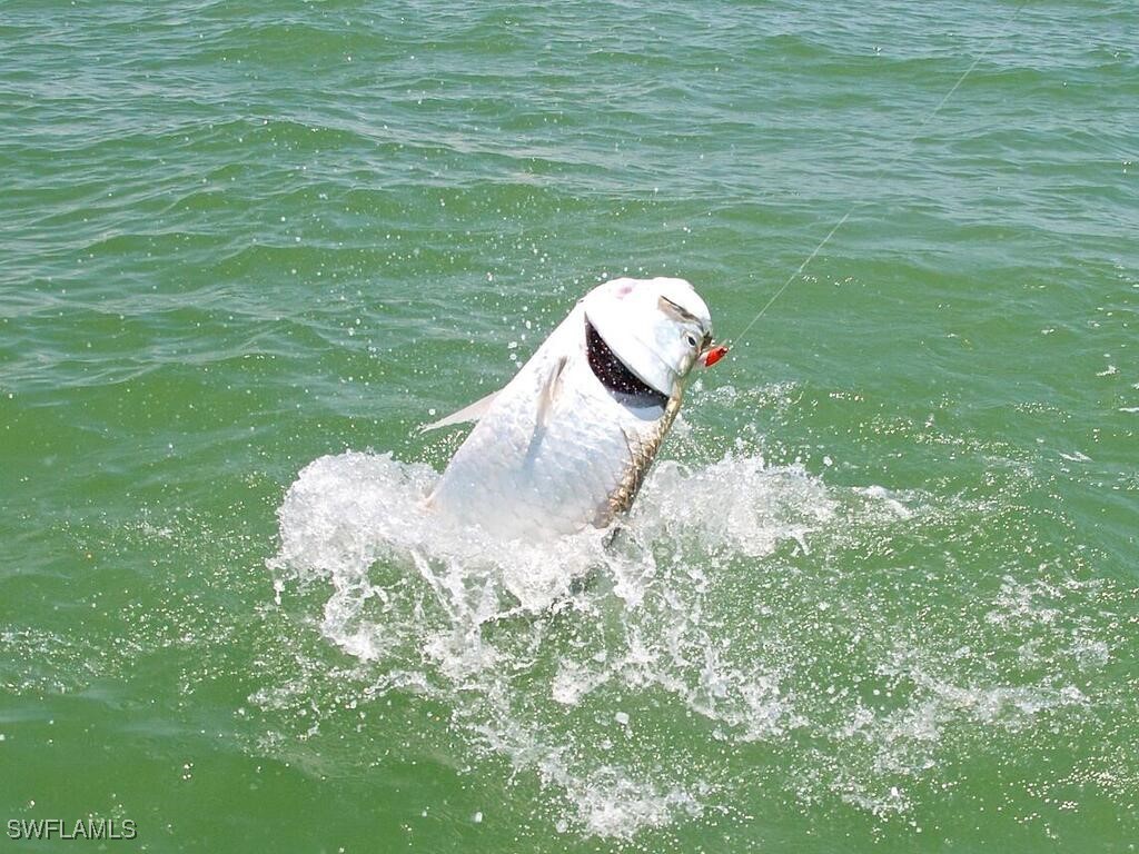 525 Newport Drive Naples FL 34114 225044587 image22