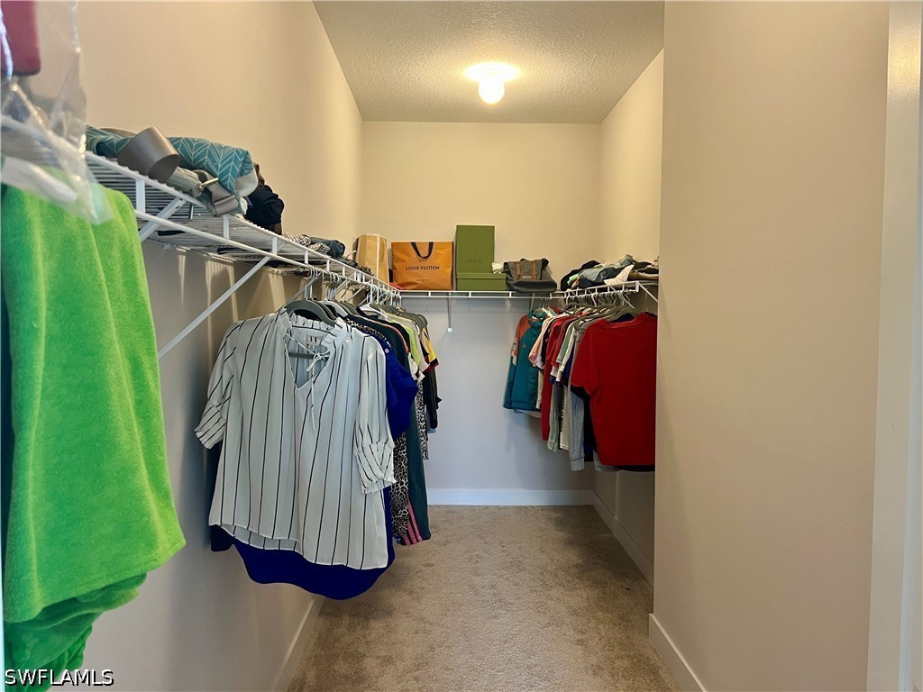 5252 Lamone Lane Ave Maria FL 34142 226022103 image16
