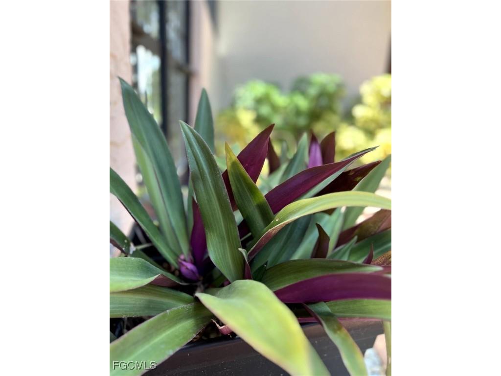 5255 Coronado Parkway #2 Cape Coral FL 33904 2025006685 image26