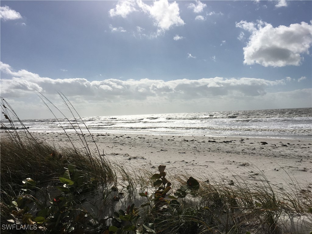 526 104th Avenue N Naples FL 34108 225080924 image48