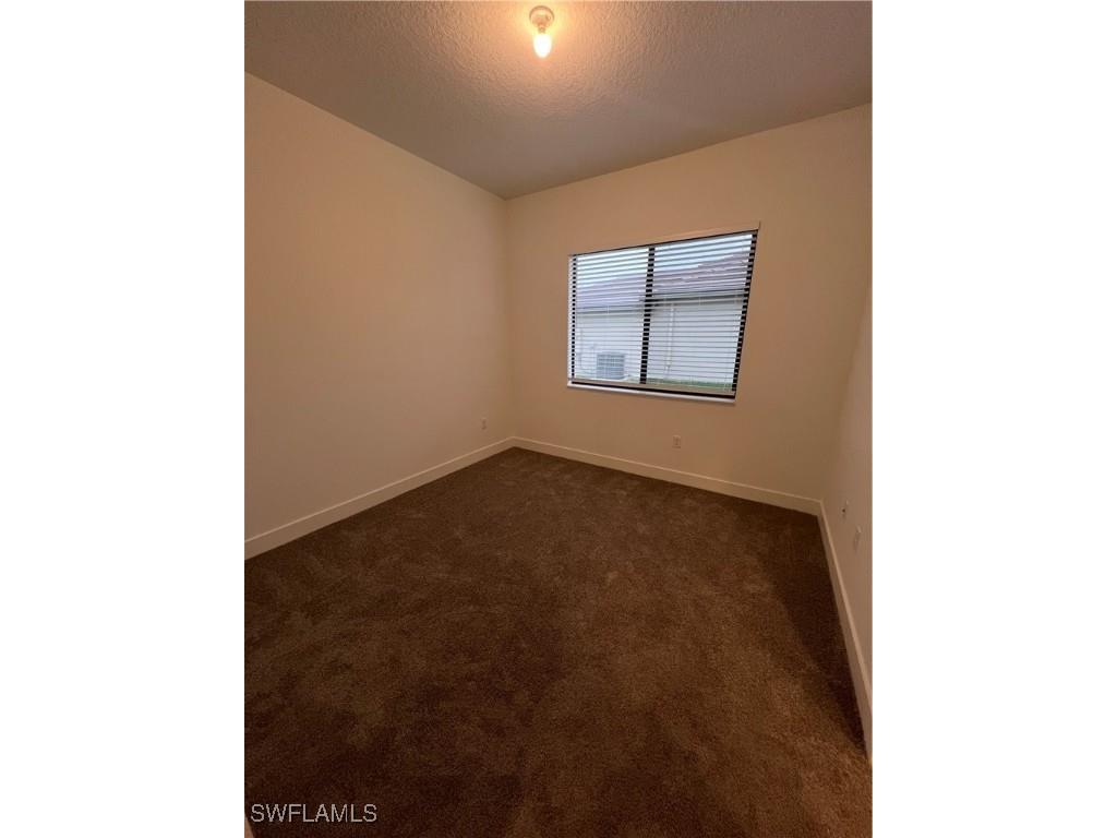 5261 Lamone Lane Ave Maria FL 34142 225083951 image5