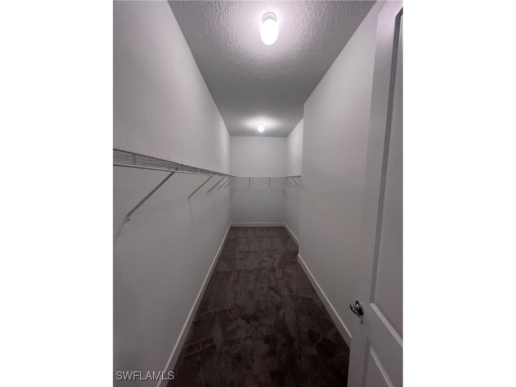 5261 Lamone Lane Ave Maria FL 34142 225083951 image8