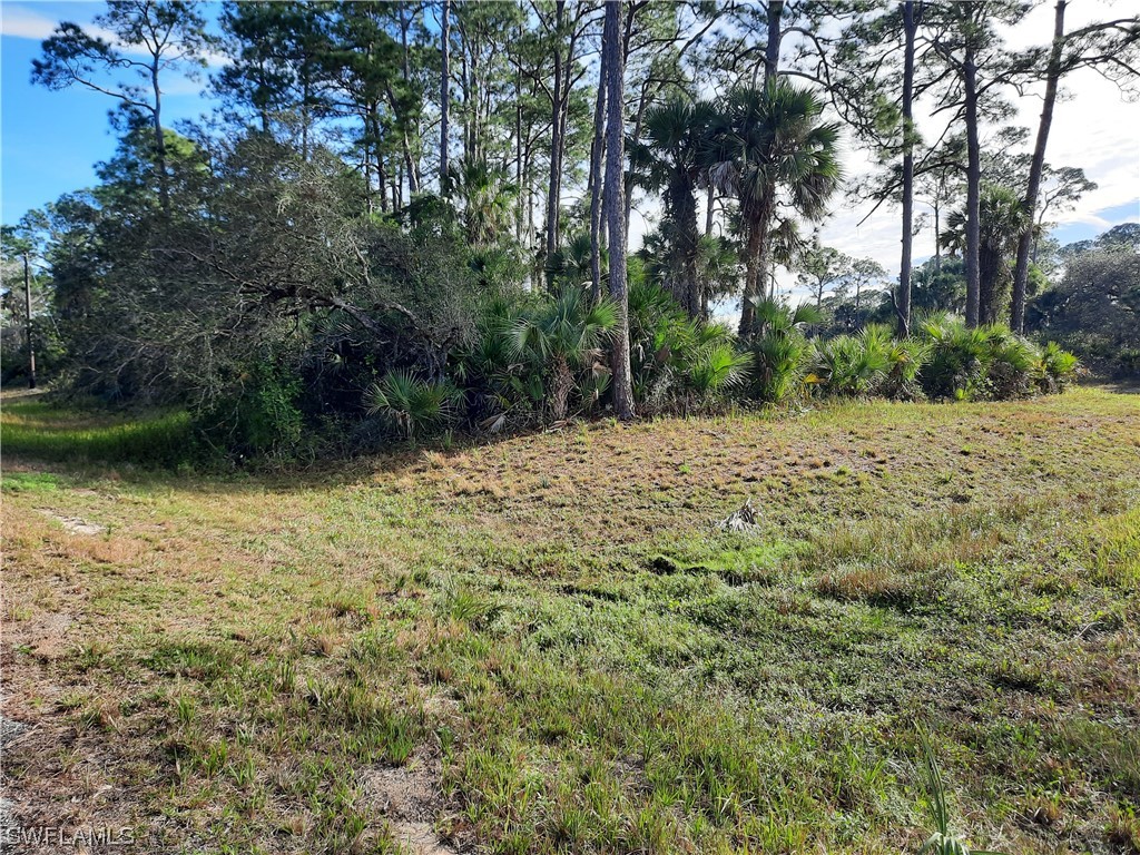 527 Sussex Lane Labelle FL 33935 224006796 image1