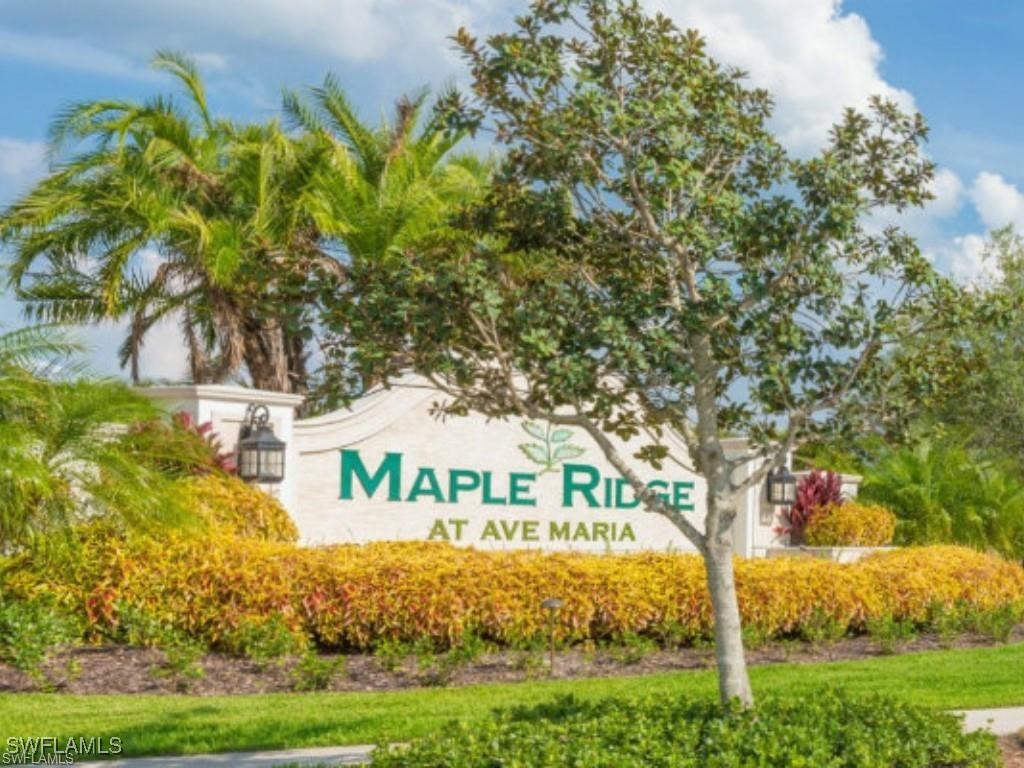 5277 Marano Drive Ave Maria FL 34142 225047949 image21