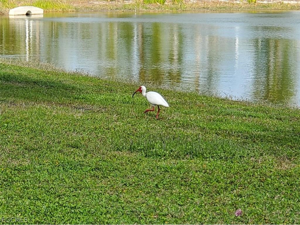 5279 Cypress Trail Resort Circle Fort Myers FL 33905 2026009804 image13