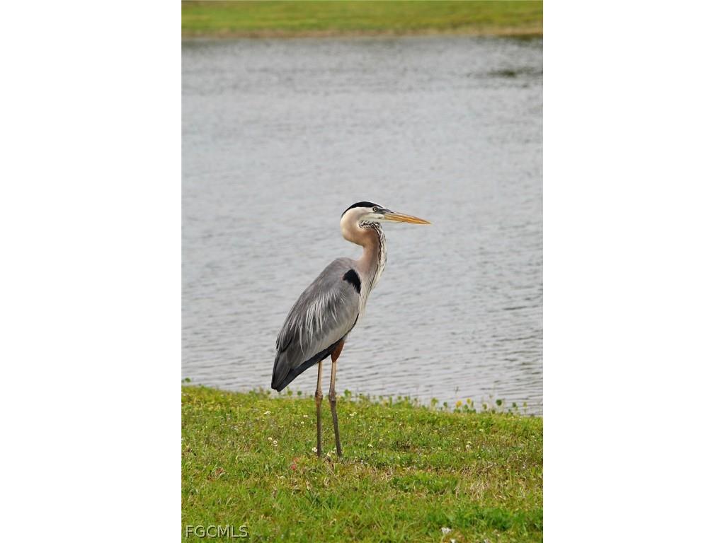 5279 Cypress Trail Resort Circle Fort Myers FL 33905 2026009804 image14