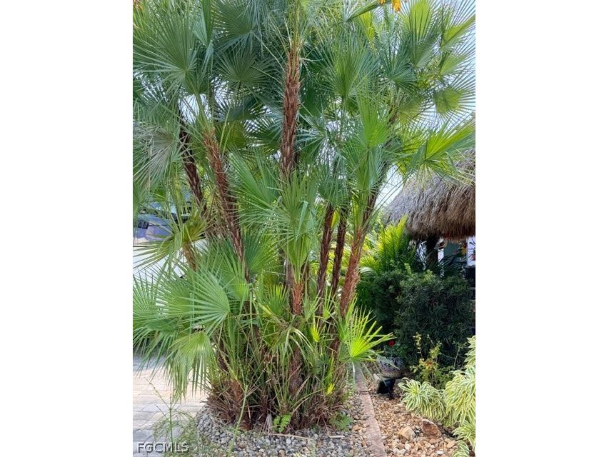 5279 Cypress Trail Resort Circle Fort Myers FL 33905 2026009804 image24