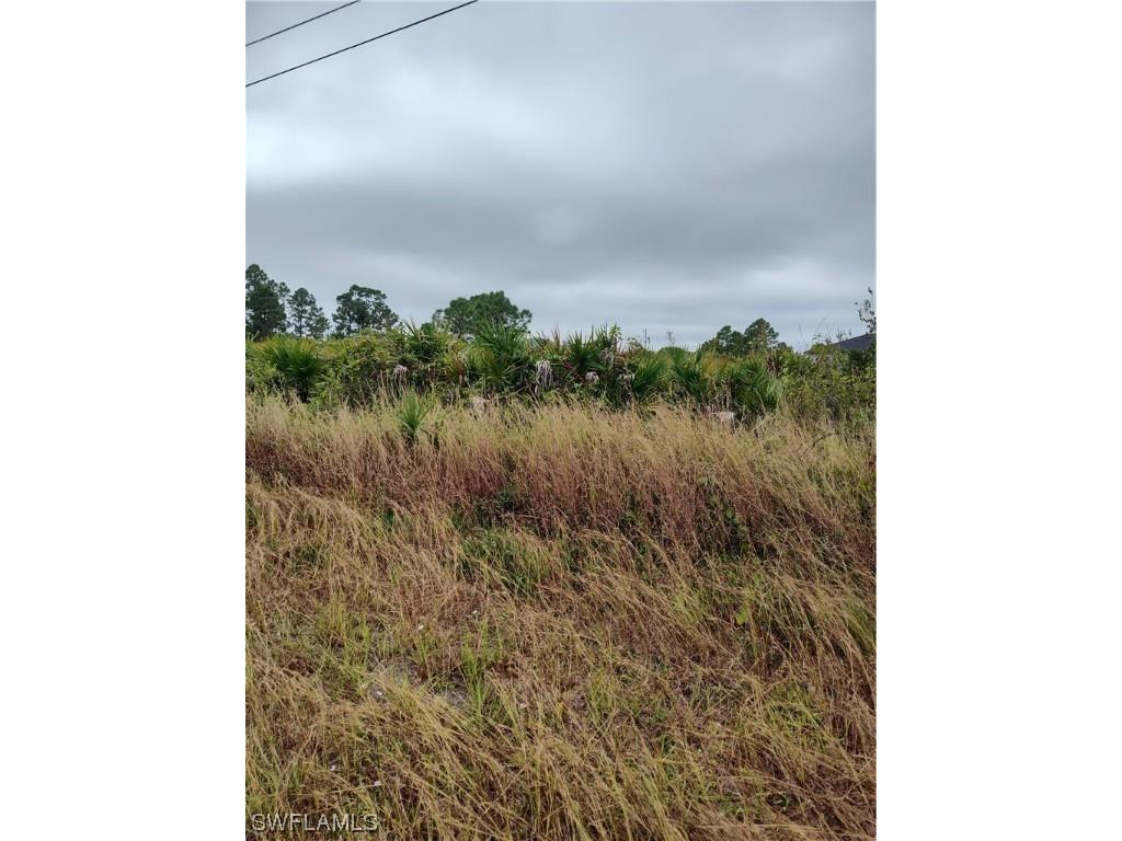 528 Mcarthur Boulevard Lehigh Acres FL 33974 223089781 image1