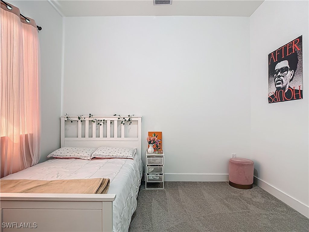 5285 Marano Drive Ave Maria FL 34142 225045528 image31