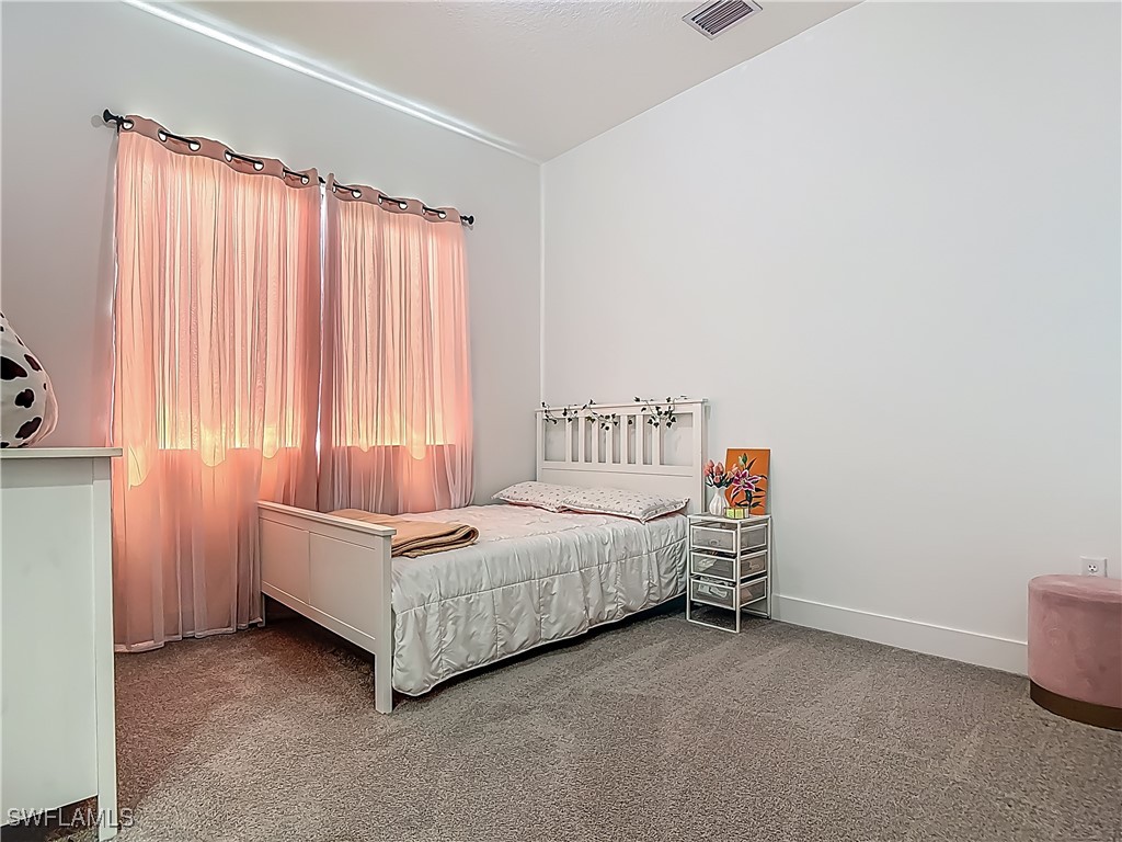 5285 Marano Drive Ave Maria FL 34142 225045528 image33