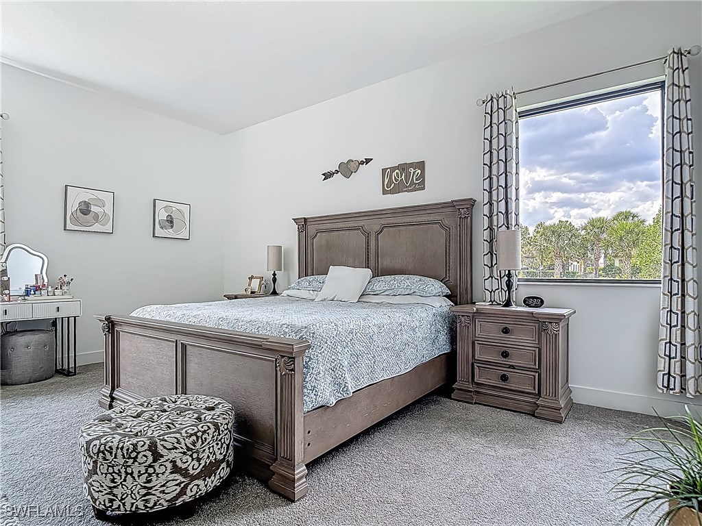 5285 Marano Drive Ave Maria FL 34142 225045528 image38