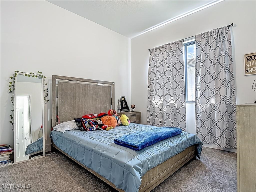 5285 Marano Drive Ave Maria FL 34142 225074947 image27
