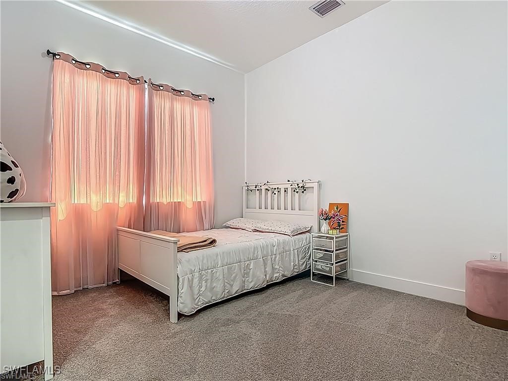 5285 Marano Drive Ave Maria FL 34142 225074947 image33
