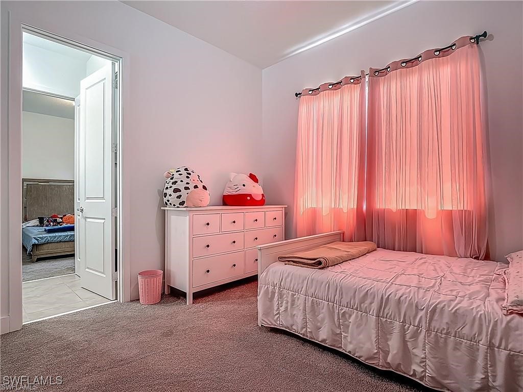 5285 Marano Drive Ave Maria FL 34142 225074947 image34