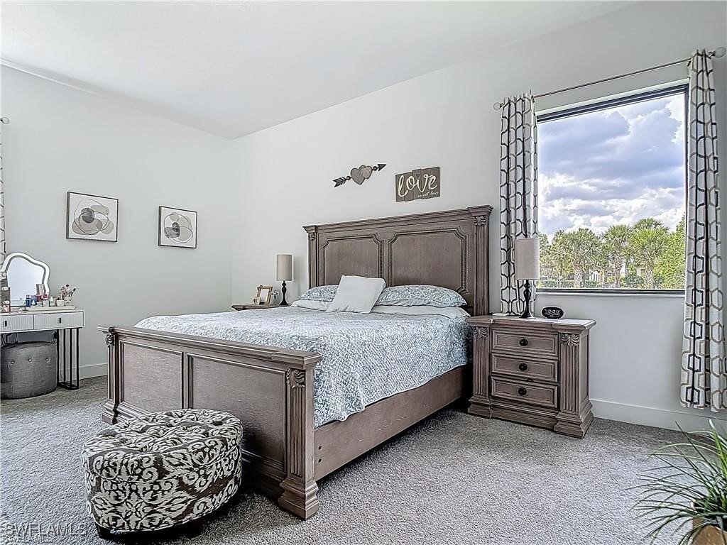 5285 Marano Drive Ave Maria FL 34142 225074947 image38