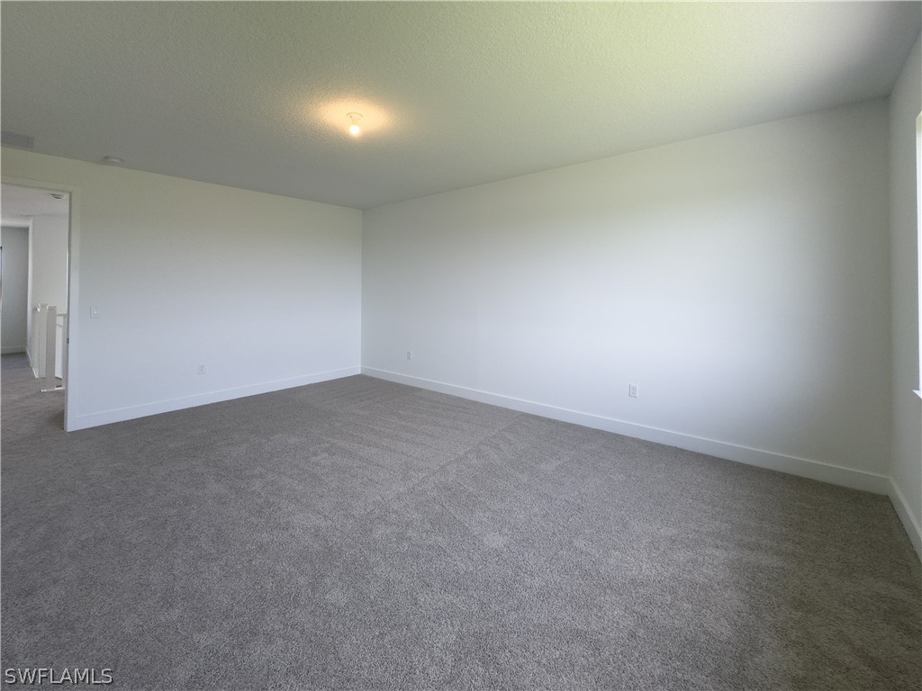 5286 Nevola Avenue Ave Maria FL 34142 226006564 image28