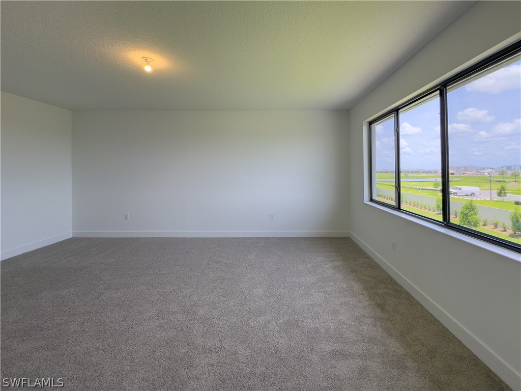 5286 Nevola Avenue Ave Maria FL 34142 226006564 image29