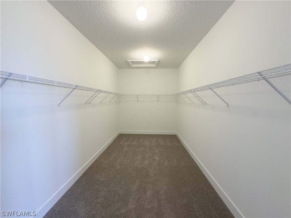 5286 Nevola Avenue Ave Maria FL 34142 226006564 image30
