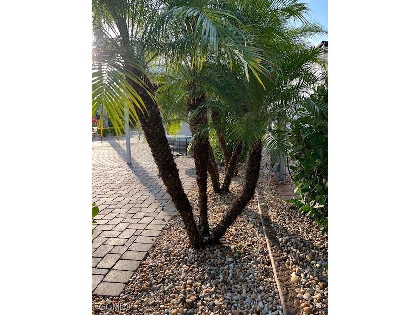5302 Cypress Trail Resort Circle Fort Myers FL 33905 2026002339 image12