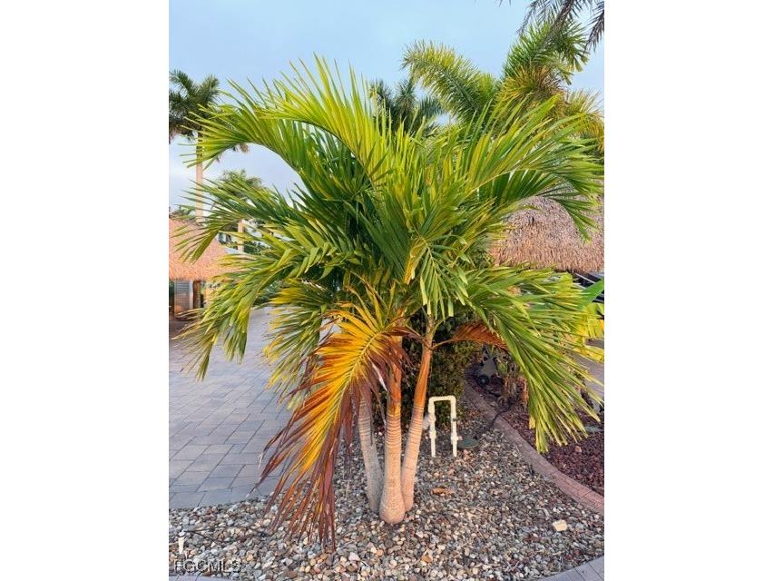 5309 Cypress Trail Resort Circle Fort Myers FL 33905 2026002842 image16