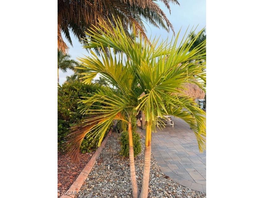 5309 Cypress Trail Resort Circle Fort Myers FL 33905 2026002842 image17