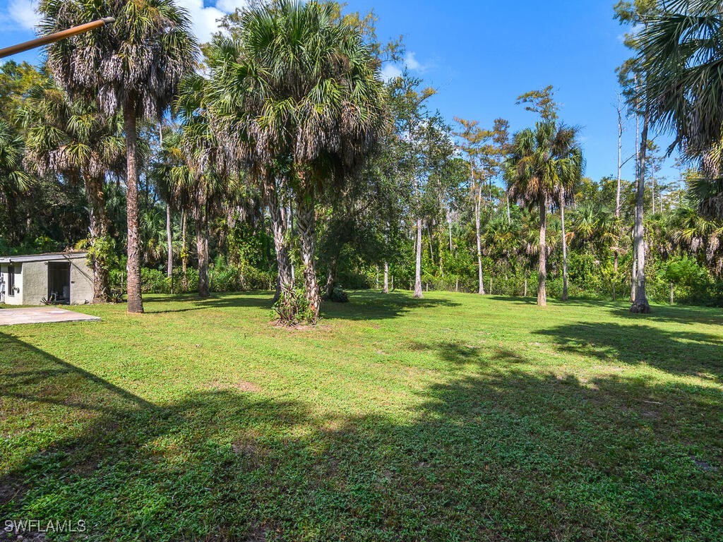 5311 Hickory Wood Drive Naples FL 34119 225076833 image39