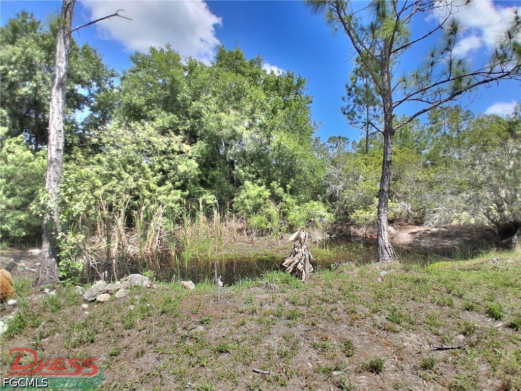 5320 Pioneer 8th Street Clewiston FL 33440 2026017165 image27