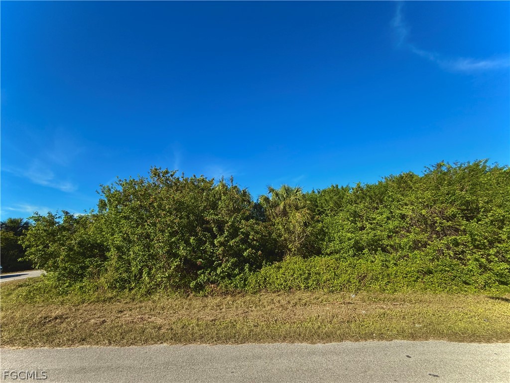 533 Morris Tyler Avenue Lehigh Acres FL 33974 2026012941 image1