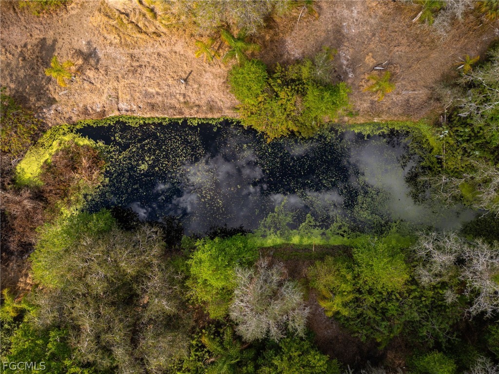 535 Evans Road Labelle FL 33935 2026009765 image17