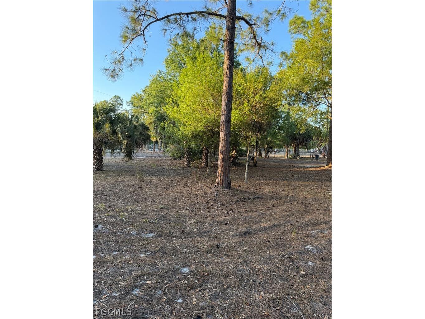 535 N Kennel Street Clewiston FL 33440 2026011398 image6